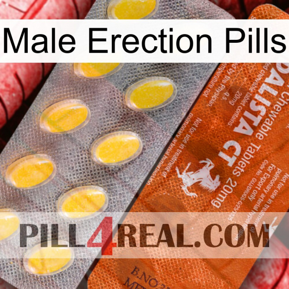 Male Erection Pills 42.jpg